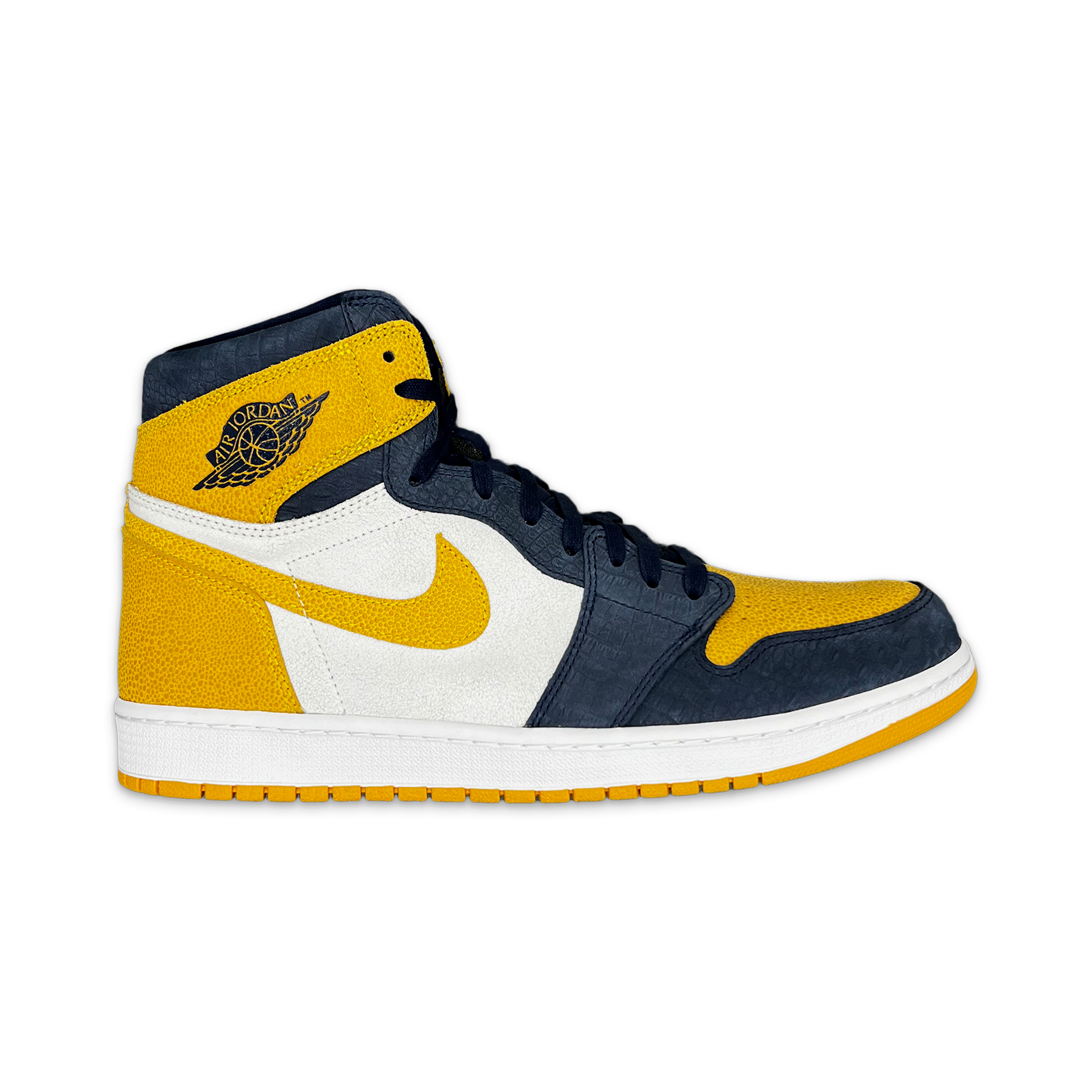 Air Jordan 1 Retro “Michigan PE”
